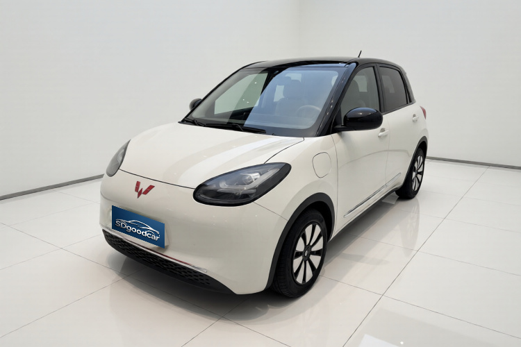 Wuling Bingo